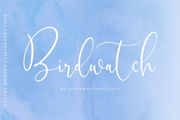 Birdwatch: A Modern Handwritten Font for Web Design