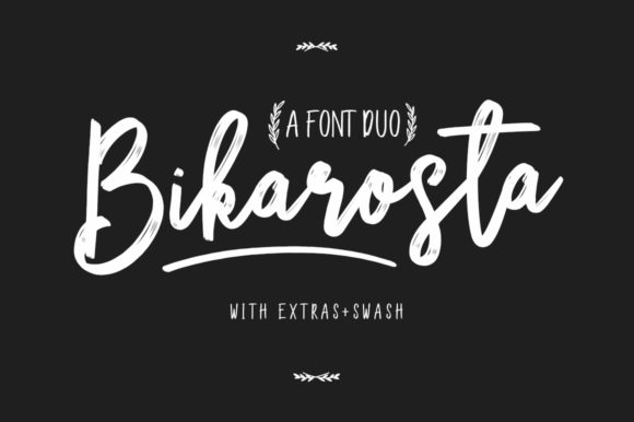 Reviewing Bikarosta: A Script Amp for Real Projects
