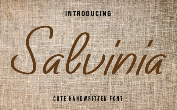 Salvinia: A Delicate Handwritten Font for Web Design