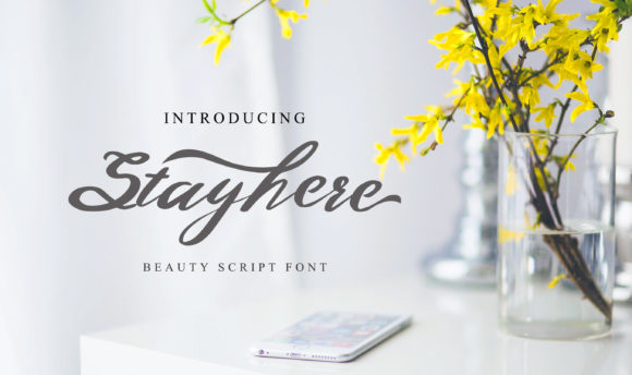 Stayhere: The Modern Script Font for Polished Branding