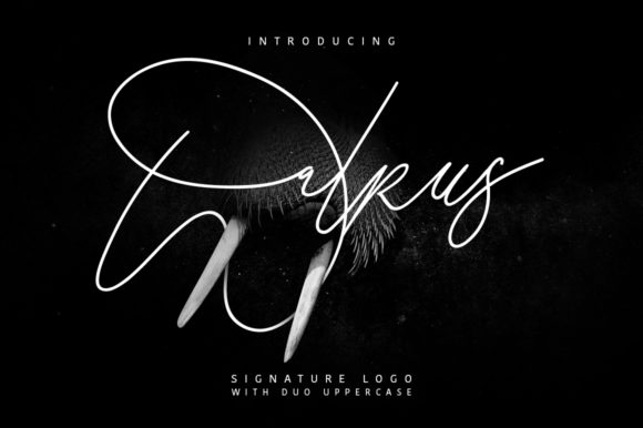 Walrus: A Timeless Script Font for Crafters